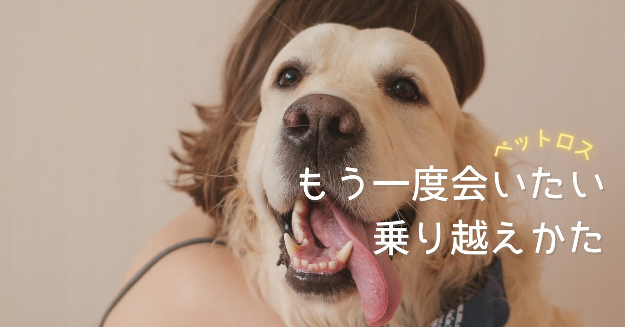 カウンセラー真由｜あたらしい今日｜新しい今日のイメージ画像