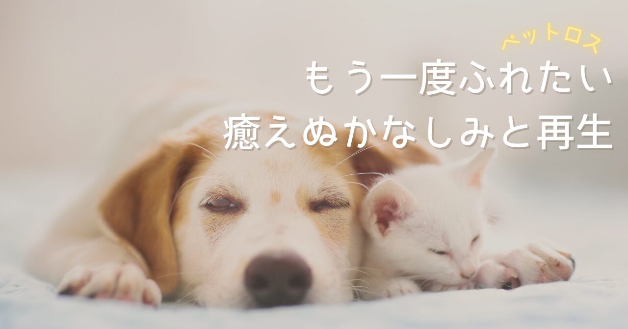 カウンセラー真由｜あたらしい今日｜新しい今日のイメージ画像
